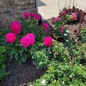 Meet your Posher, Tracy